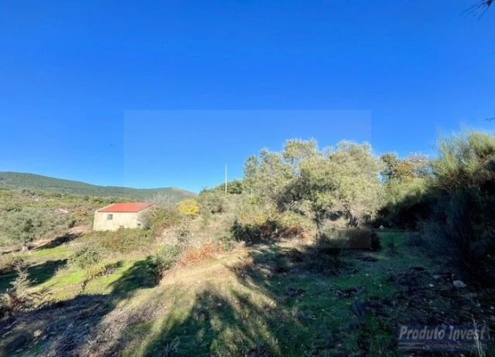 Quinta T2 para Venda em Vale de Prazeres e Mata da Rainha Foto 21