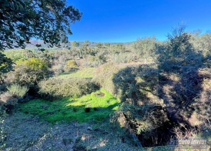 Quinta T2 para Venda em Vale de Prazeres e Mata da Rainha Foto 20