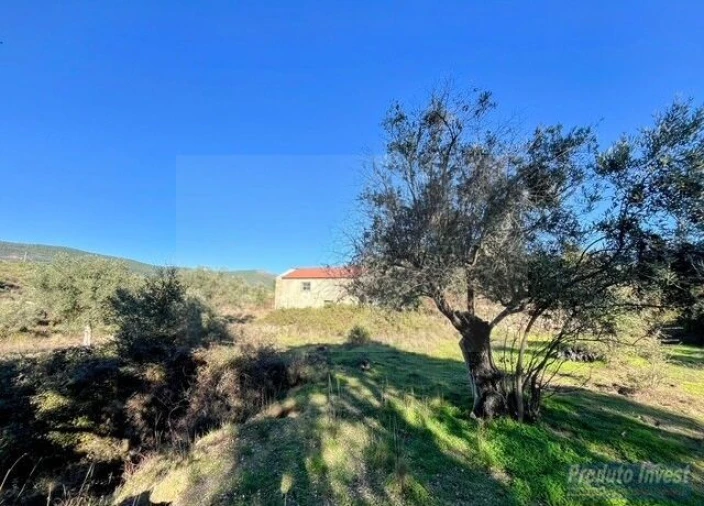 Quinta T2 para Venda em Vale de Prazeres e Mata da Rainha Foto 19