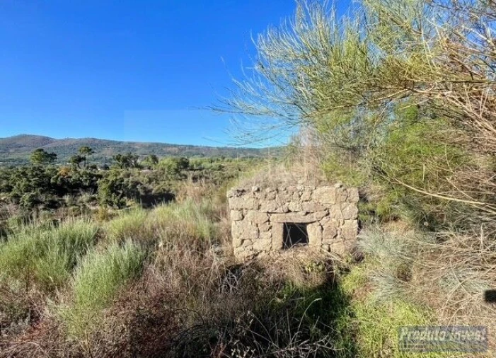 Quinta T2 para Venda em Vale de Prazeres e Mata da Rainha Foto 6