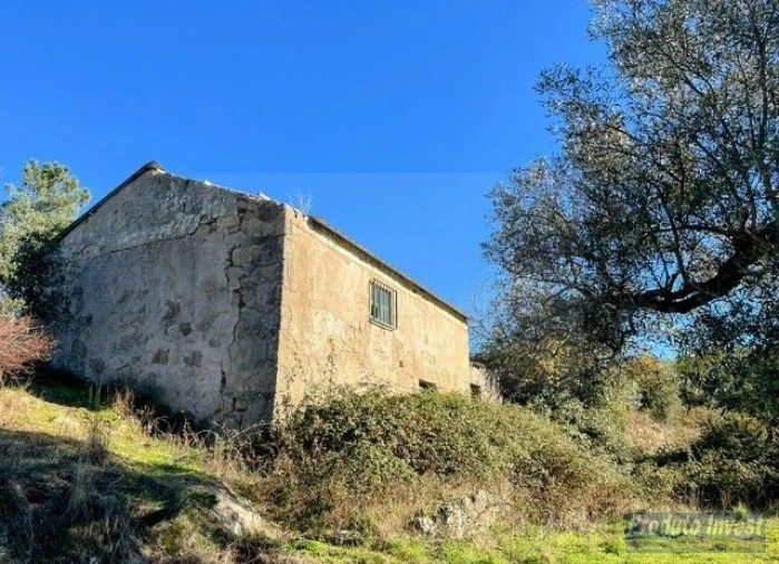 Quinta T2 para Venda em Vale de Prazeres e Mata da Rainha Foto 5