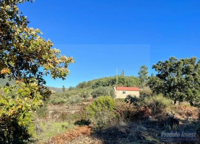 Quinta T2 para Venda em Vale de Prazeres e Mata da Rainha Foto 23