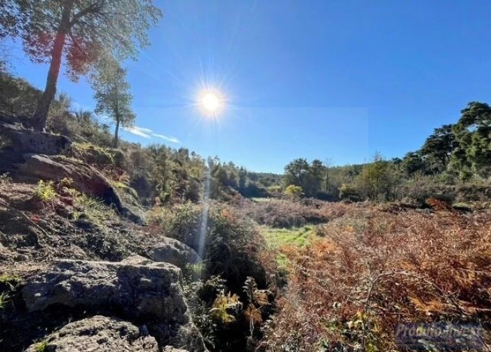 Quinta T2 para Venda em Vale de Prazeres e Mata da Rainha Foto 31