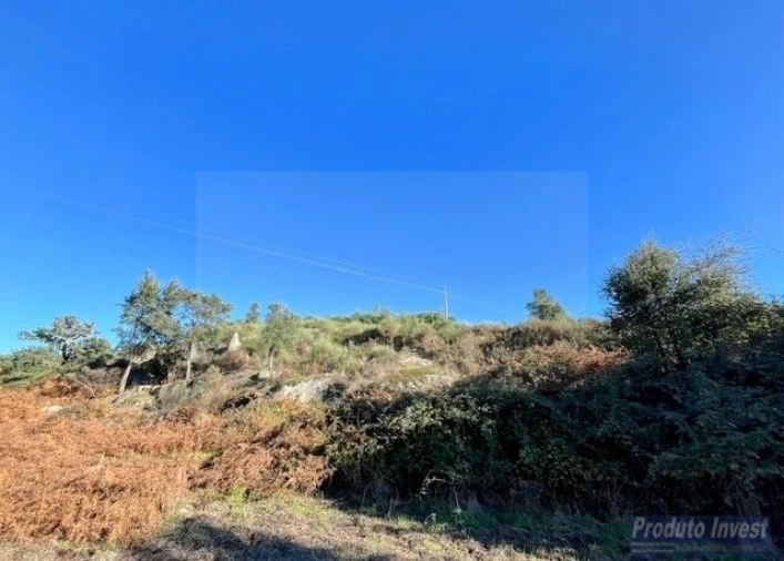 Quinta T2 para Venda em Vale de Prazeres e Mata da Rainha Foto 30