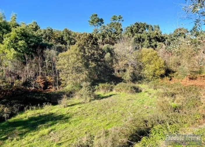 Quinta T2 para Venda em Vale de Prazeres e Mata da Rainha Foto 24