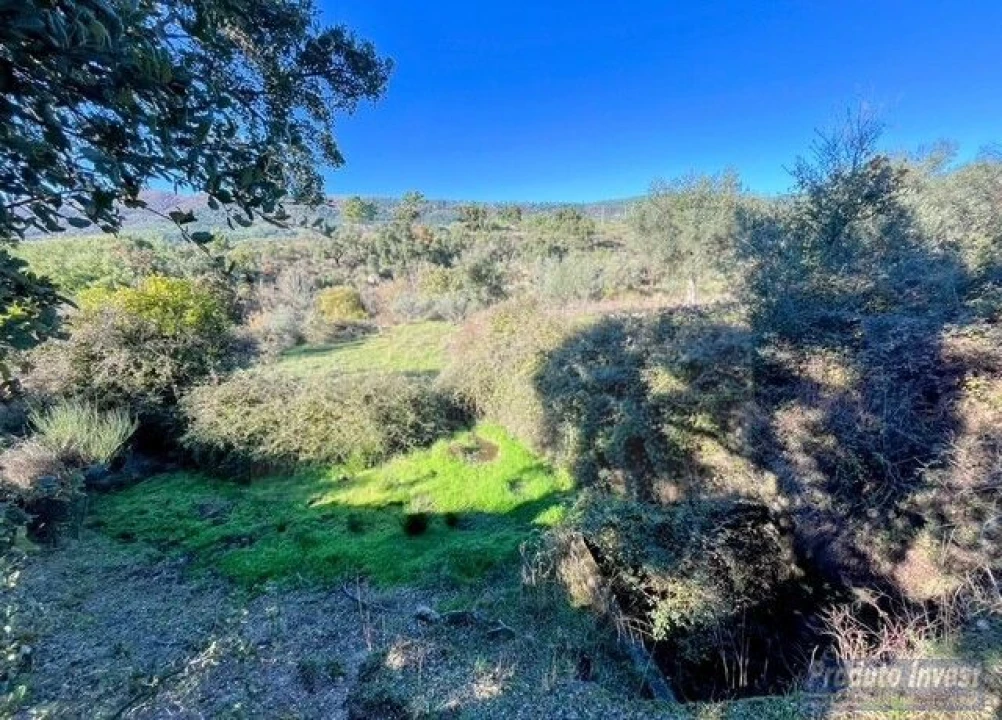 Quinta T2 para Venda em Vale de Prazeres e Mata da Rainha Foto 20
