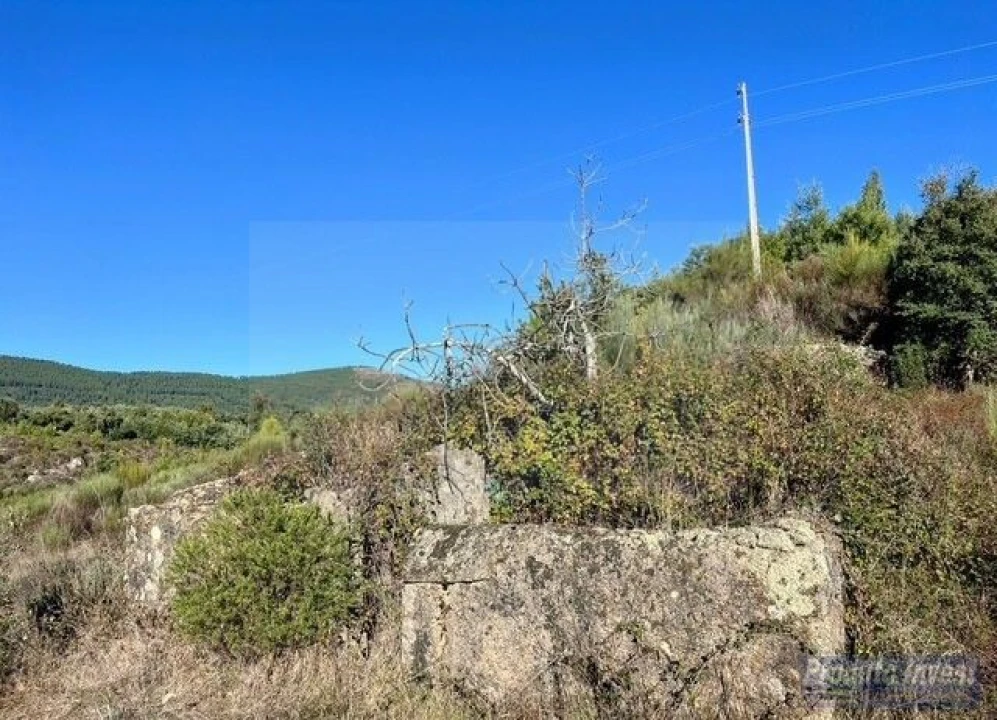 Quinta T2 para Venda em Vale de Prazeres e Mata da Rainha Foto 17