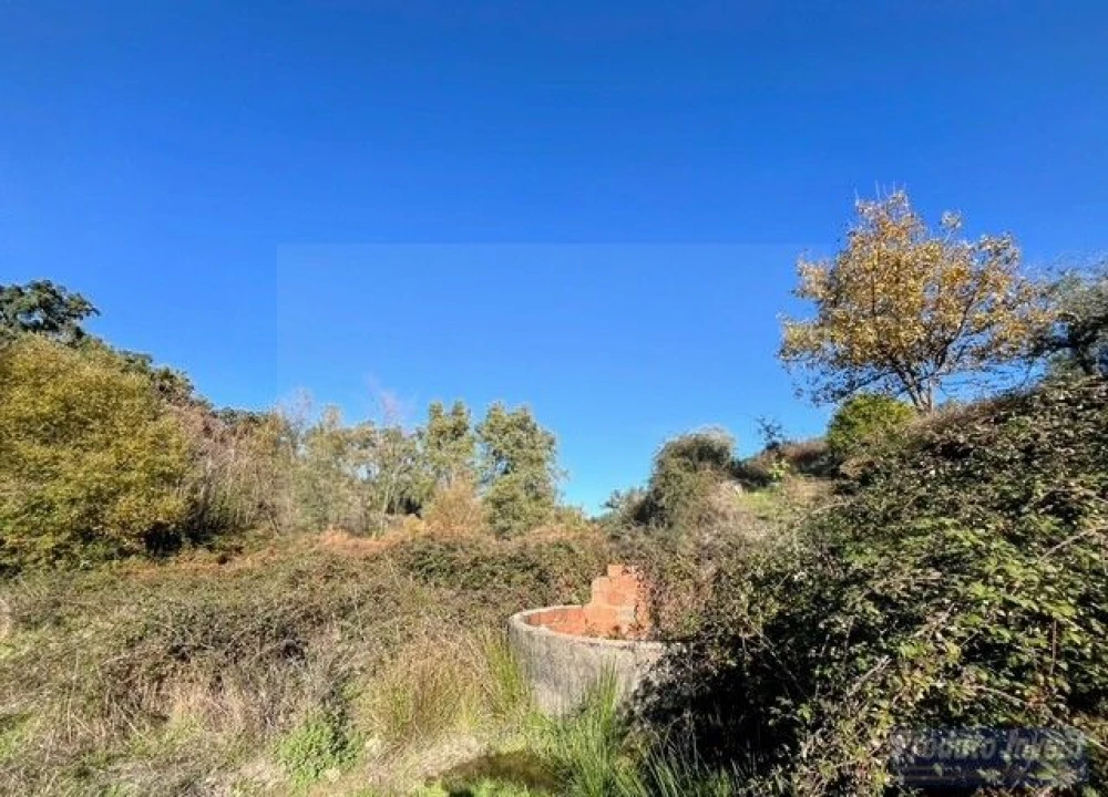 Quinta T2 para Venda em Vale de Prazeres e Mata da Rainha Foto 27