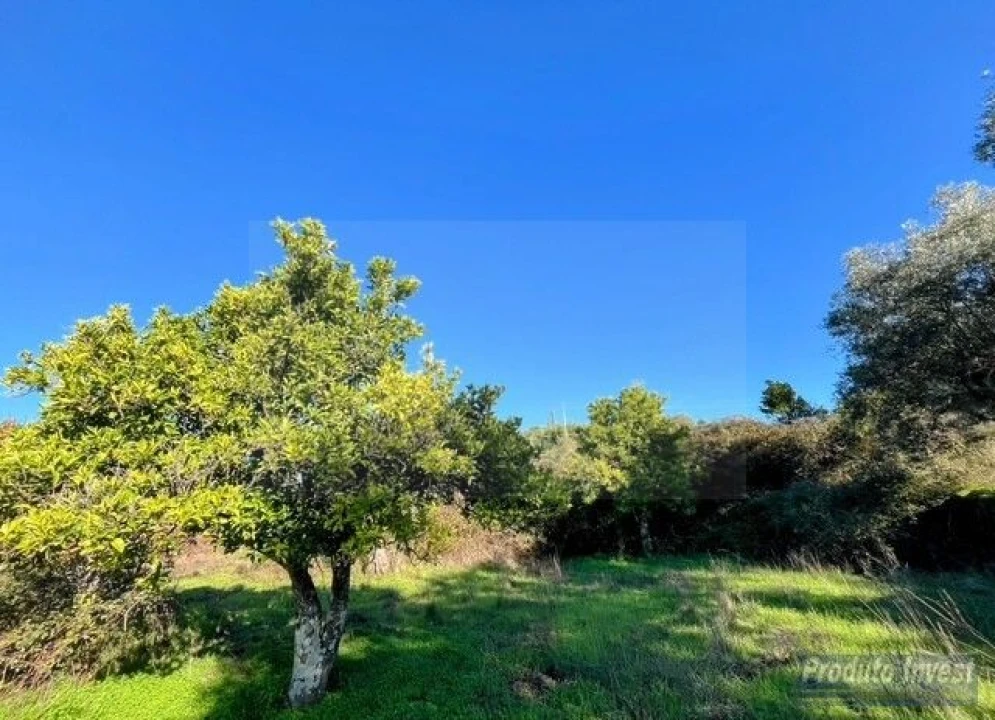Quinta T2 para Venda em Vale de Prazeres e Mata da Rainha Foto 25