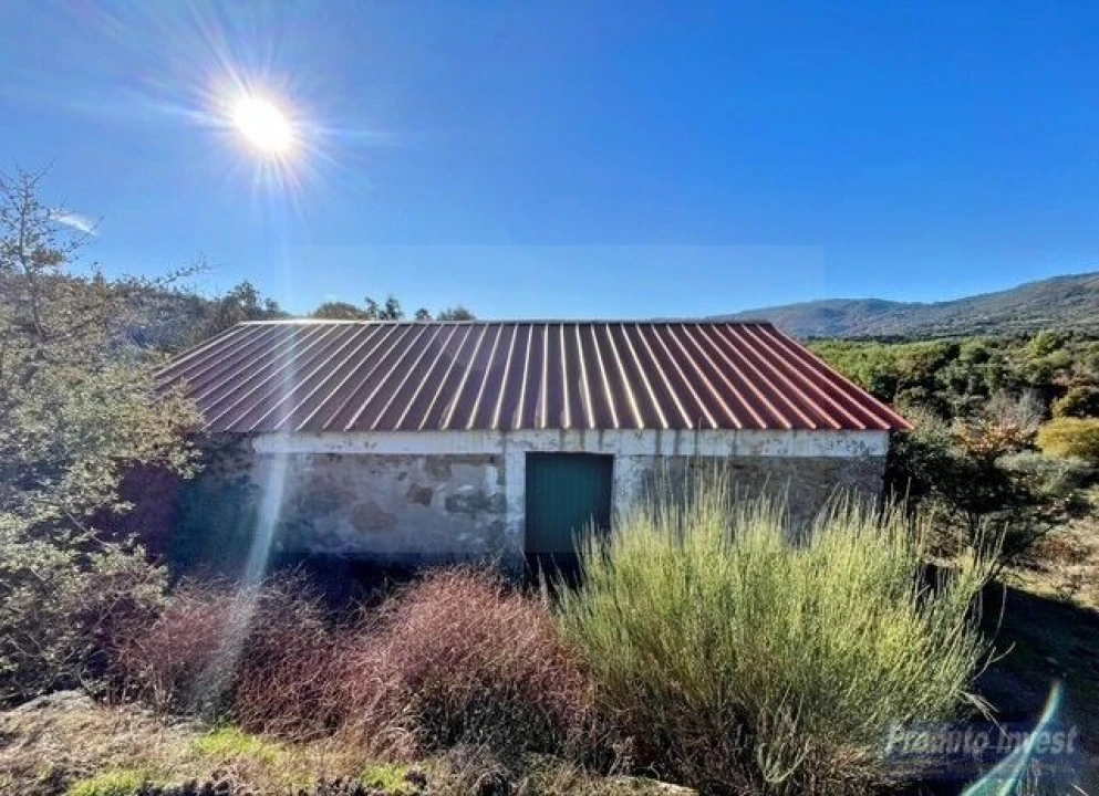Quinta T2 para Venda em Vale de Prazeres e Mata da Rainha Foto 2