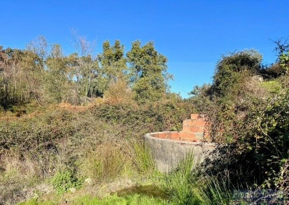 Quinta T2 para Venda em Vale de Prazeres e Mata da Rainha Foto 28