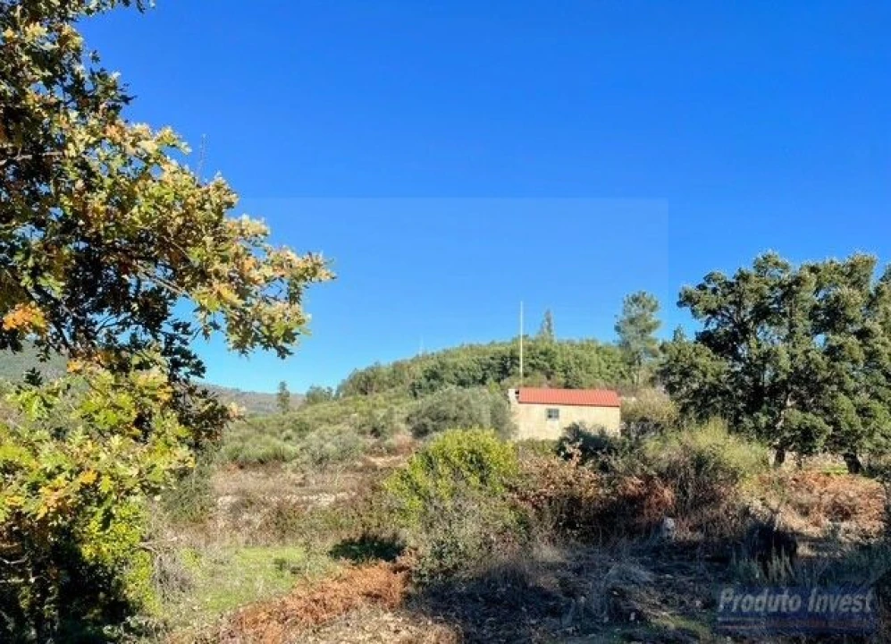 Quinta T2 para Venda em Vale de Prazeres e Mata da Rainha Foto 23