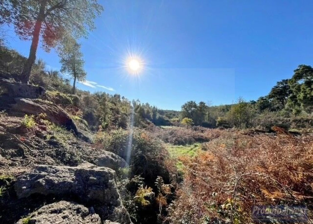 Quinta T2 para Venda em Vale de Prazeres e Mata da Rainha Foto 31