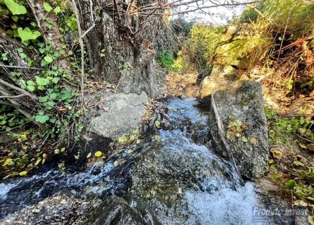 Quinta T2 para Venda em Vale de Prazeres e Mata da Rainha Foto 32