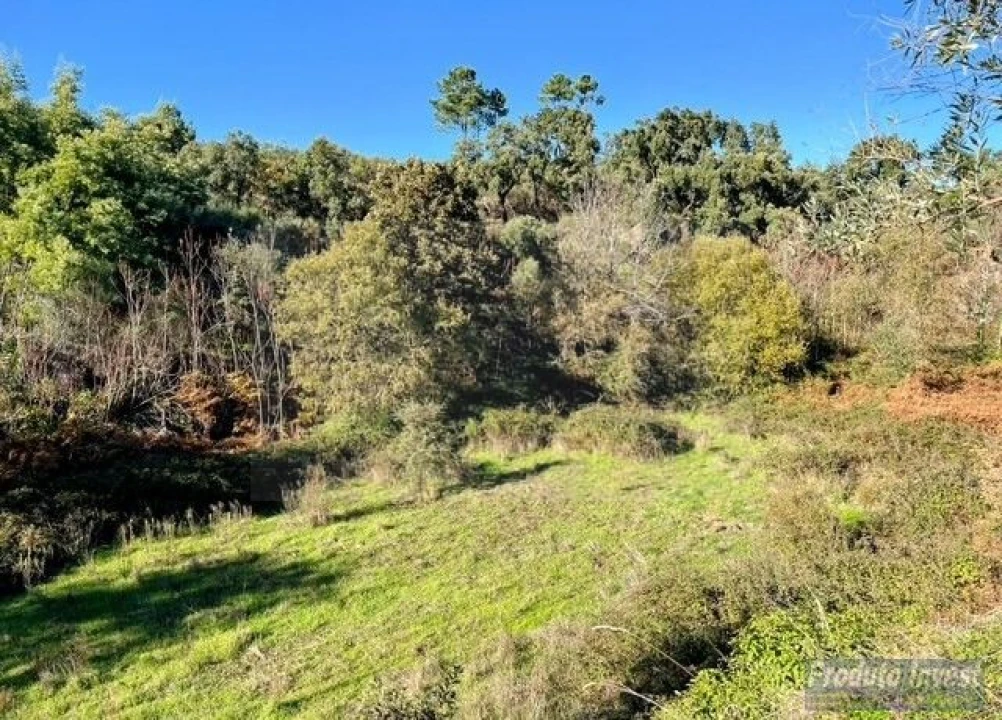 Quinta T2 para Venda em Vale de Prazeres e Mata da Rainha Foto 24