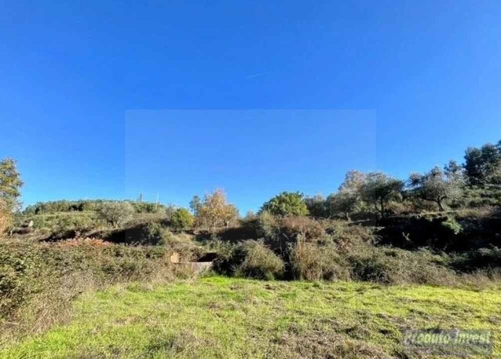 Quinta T2 para Venda em Vale de Prazeres e Mata da Rainha Foto 7