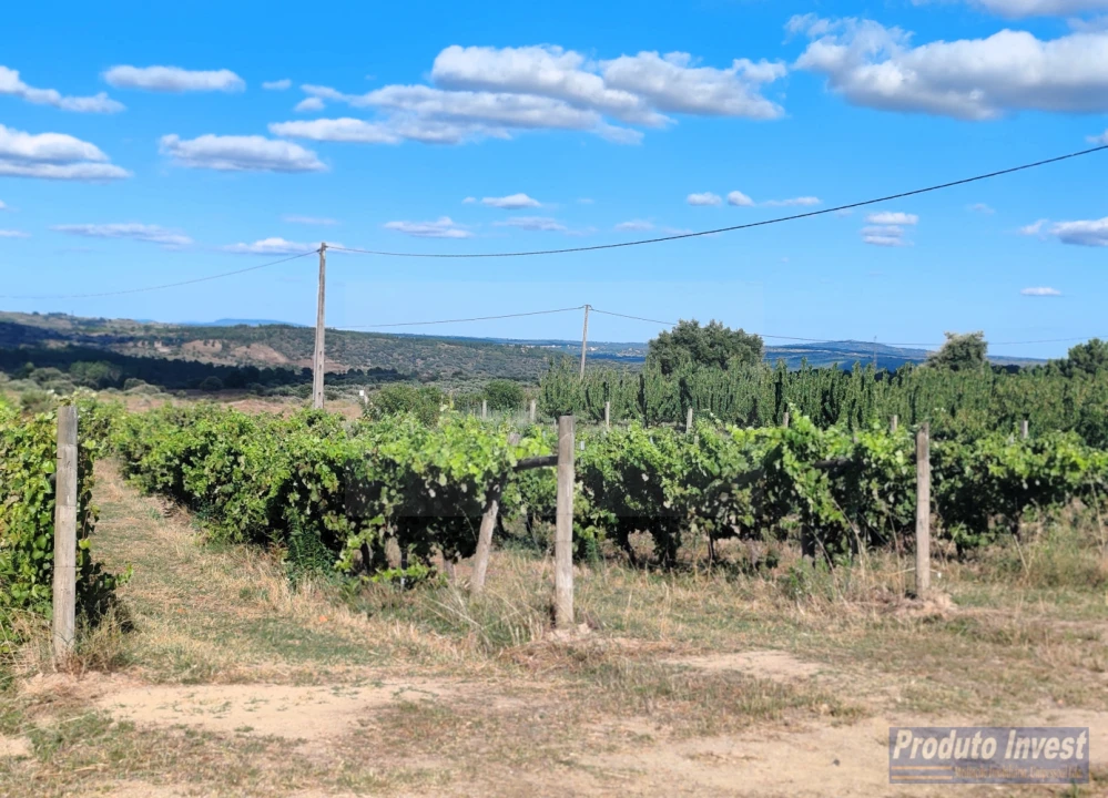 Quinta T0 para Venda em Lardosa Foto 2