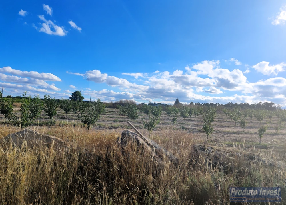 Quinta T0 para Venda em Lardosa Foto 12
