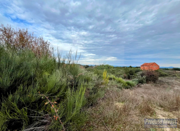 Quinta T0 para Venda em Lardosa Foto 7