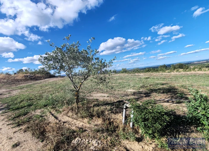 Quinta T0 para Venda em Lardosa Foto 20