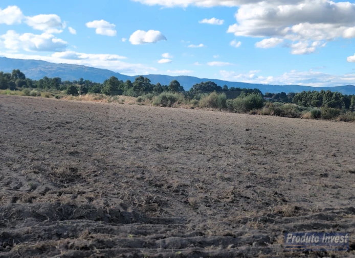 Quinta T0 para Venda em Lardosa Foto 18