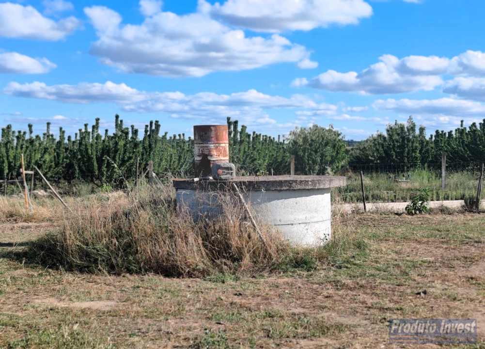 Quinta T0 para Venda em Lardosa Foto 10