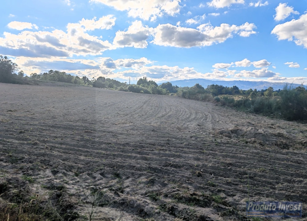 Quinta T0 para Venda em Lardosa Foto 17