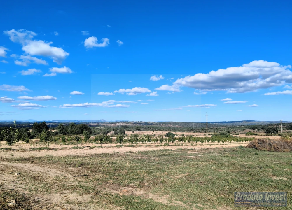 Quinta T0 para Venda em Lardosa Foto 5