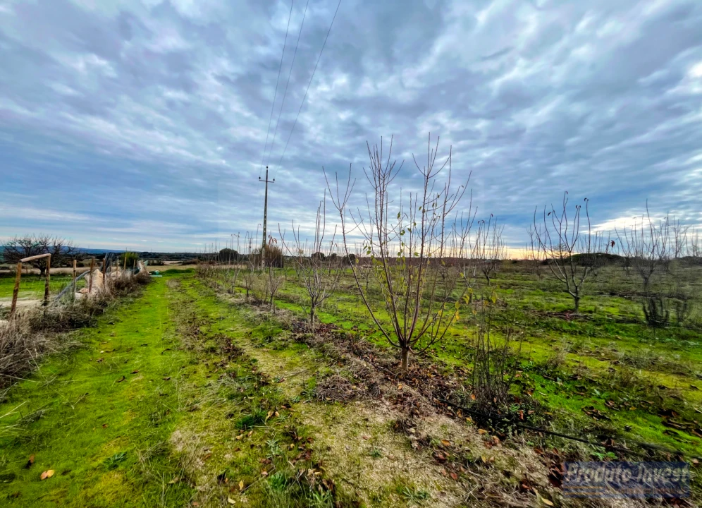 Quinta T0 para Venda em Lardosa Foto 3