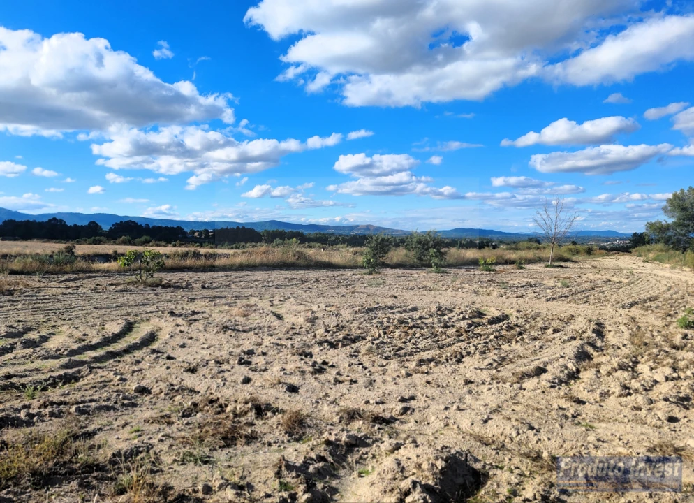 Quinta T0 para Venda em Lardosa Foto 11