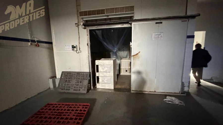 Loja para Arrendamento em Peniche Foto 8