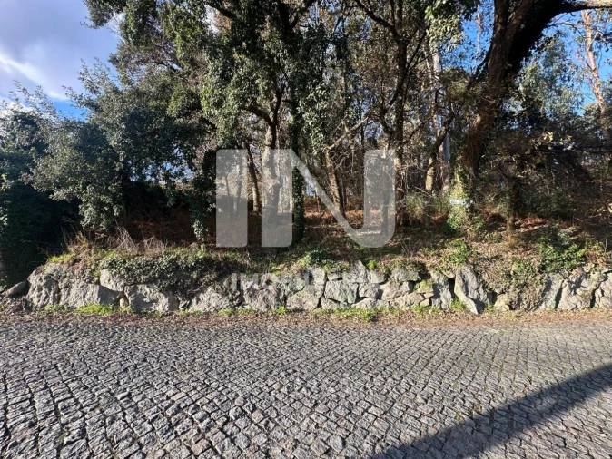 Terreno para Venda em Vila das Aves Foto 4