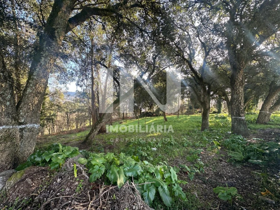 Terreno para Venda em Vila das Aves Foto 11