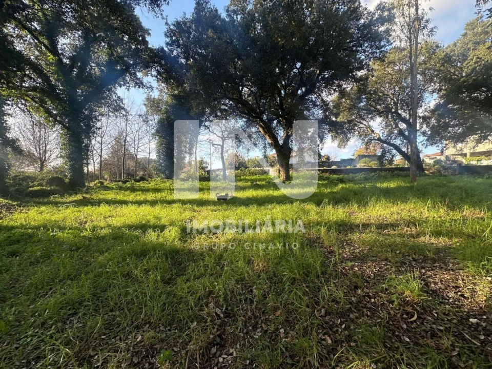 Terreno para Venda em Vila das Aves Foto 9