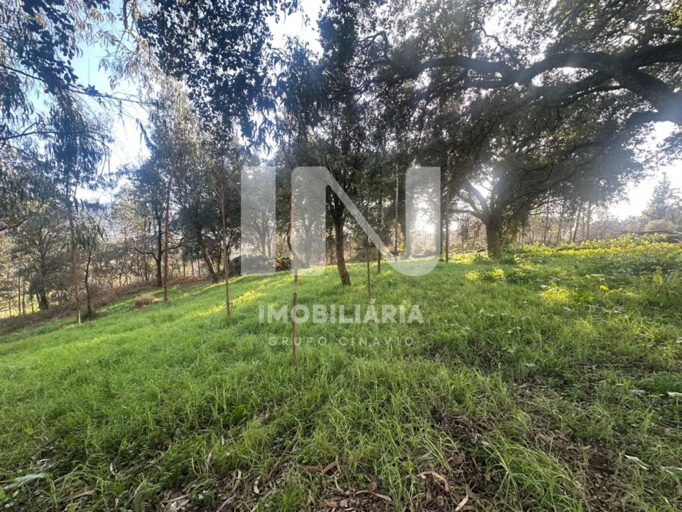 Terreno para Venda em Vila das Aves Foto 8