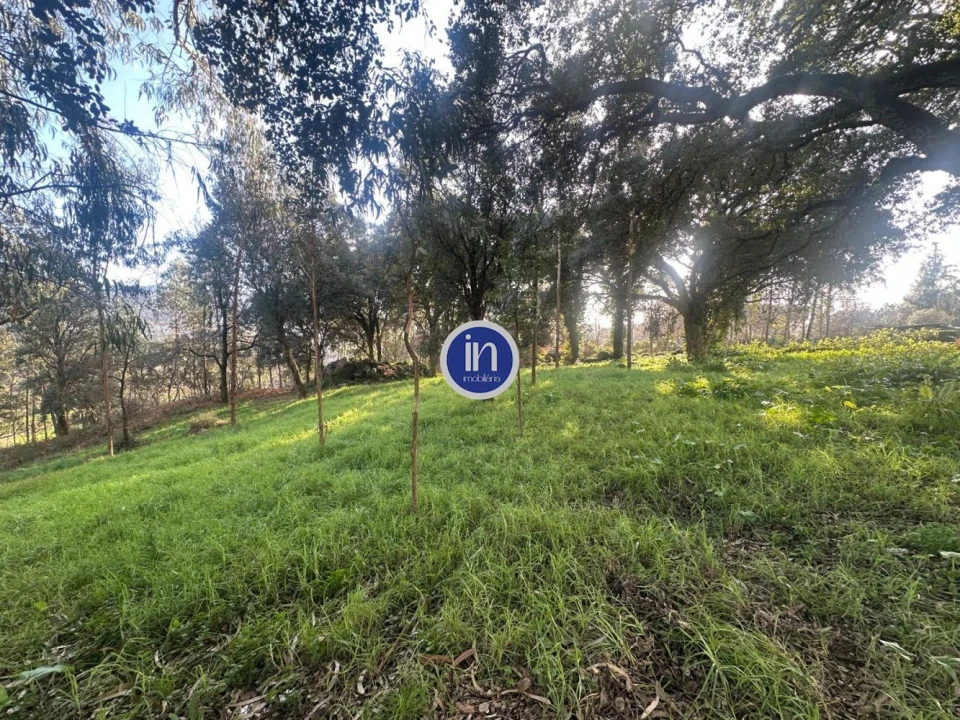 Terreno para Venda em Vila das Aves Foto 8