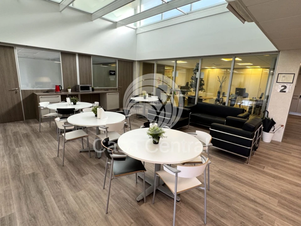 Loja para Arrendamento em Cascais e Estoril Foto 16