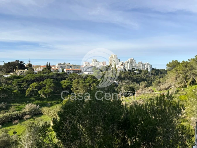 Loja para Arrendamento em Cascais e Estoril Foto 30