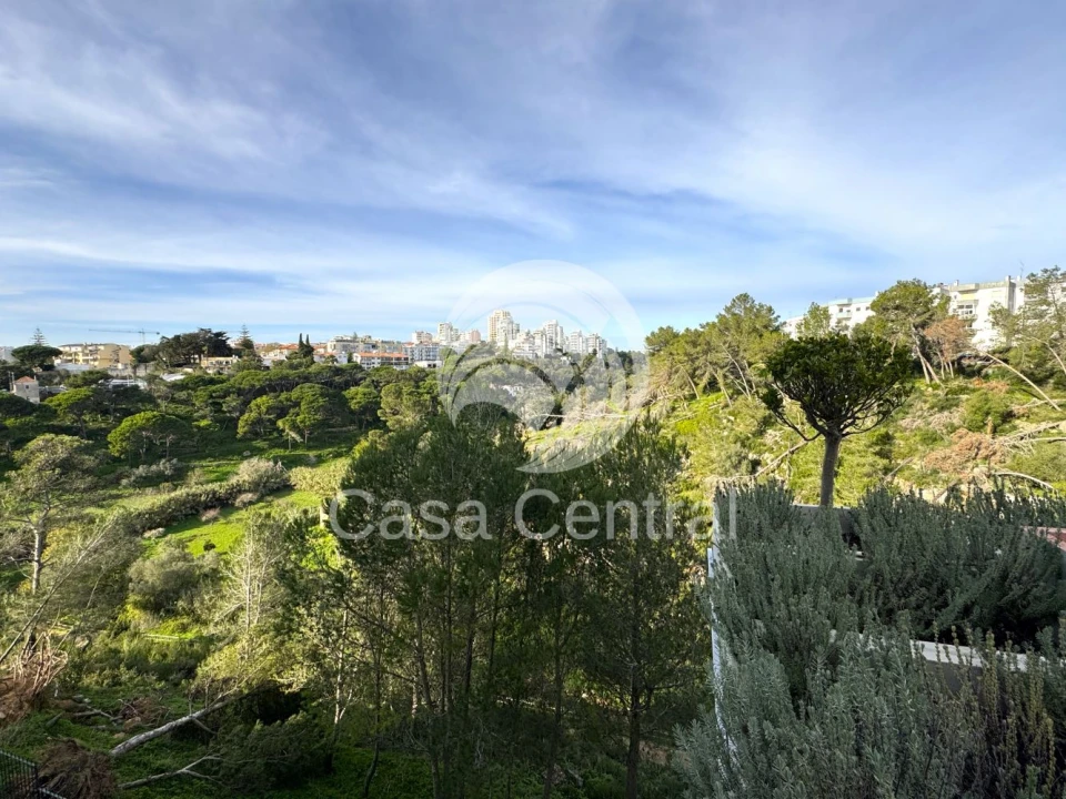 Loja para Arrendamento em Cascais e Estoril Foto 29