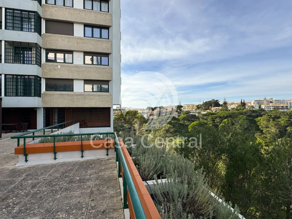 Loja para Arrendamento em Cascais e Estoril Foto 28