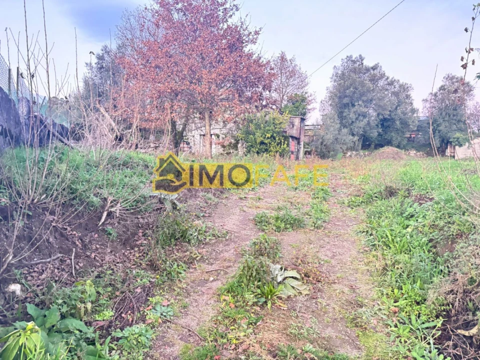 Moradia T3 para Venda em Ribeiros Foto 3