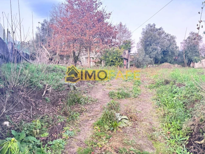 Moradia T3 para Venda em Ribeiros Foto 3