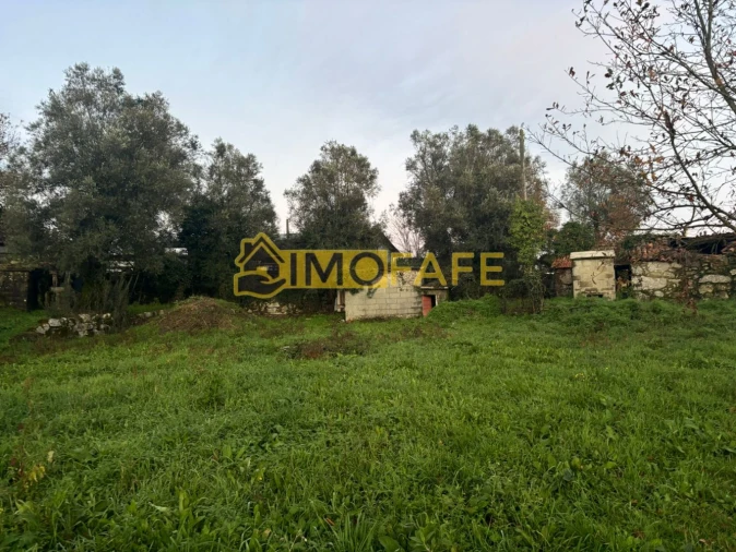 Moradia T3 para Venda em Ribeiros Foto 7