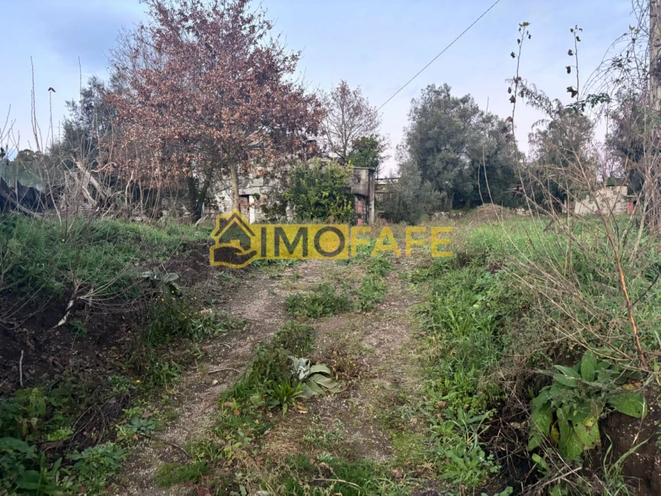 Moradia T3 para Venda em Ribeiros Foto 18