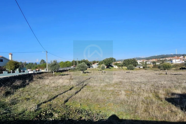 Terreno para Venda em Cebolais de Cima e Retaxo Foto 4