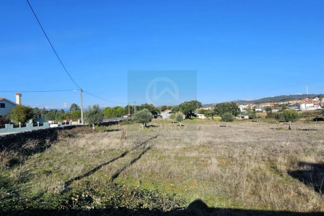 Terreno para Venda em Cebolais de Cima e Retaxo Foto 4