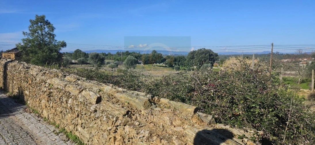 Terreno para Venda em Cebolais de Cima e Retaxo Foto 2
