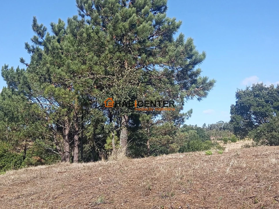 Terreno para Venda em Famalicão Foto 7