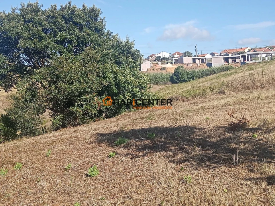 Terreno para Venda em Famalicão Foto 14