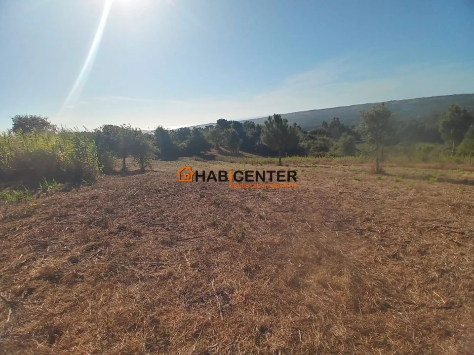 Terreno para Venda em Famalicão Foto 9